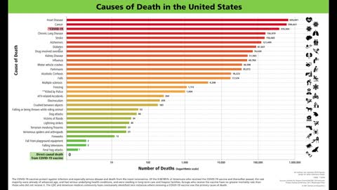 Infographic- US Causes of Death and Vaccine Safety