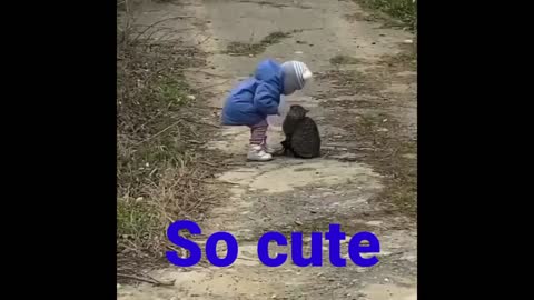 Cute cat love little girl heart touching video