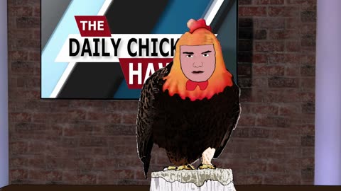 Daily Chicken-Hawk pt1