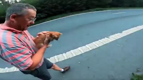 Biker Stop To Save The Helpless Kitten