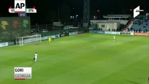 Dog Interrupts Soccer Game