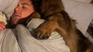 Dog Cuddles Dad