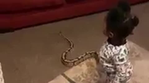 Kid drags a Snake into the house,See the mothers reaction