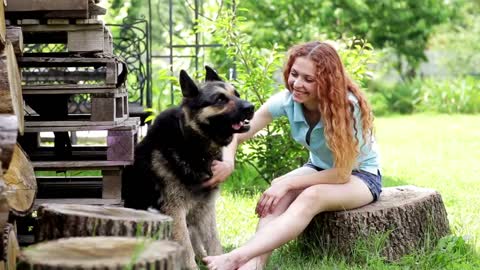 🐕 Most Loyal Dogs – TOP 20 Most Loyal Dog Breeds In The World!