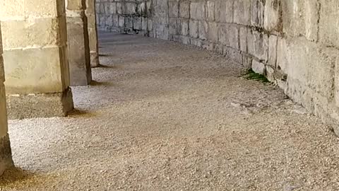 Aspendos amphitheatre