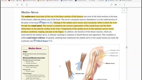Anatomy and Physiology 1 - Chapter 12 Spinal Cord and Spinal Nerves