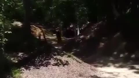 Blue boy cursing woods bike fail