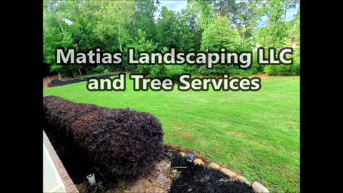 Matias Landscaping LLC and Tree Services