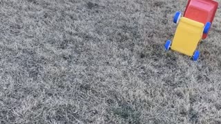 Dog Goes Flying During Game of Fetch