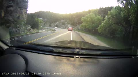 Car and Cat Collide in Colorado