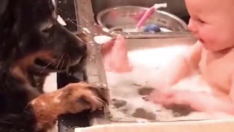 Baby Bath in Kitchen sink and Fell Happy