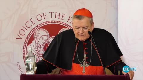 Cardinal Burke - Fatima , foretold diabolical forces that would enter church in our time