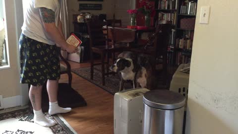 Boxer annoyed by singing Valentine's Day card