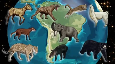 Humans and animals migrated to South America