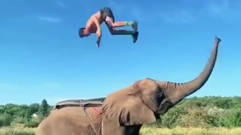 Stunt On The Elephant