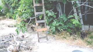 How to Make An Inexpensive DIY Homemade Ladder with 2X4's