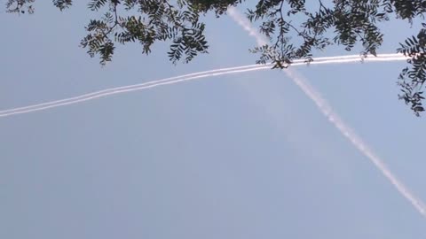 Two chemtrails at Toronto freedom rally, August 20, 2022
