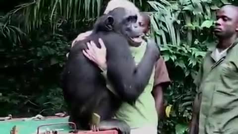 The monkey bids farewell to his friends
