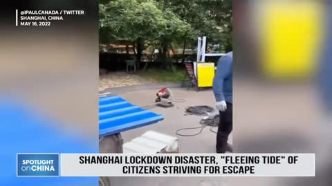 People Trying to Escape from Shanghai - Coming to a country near you