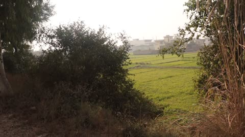 Beautiful view of Village, Canal and Road on top with Trees