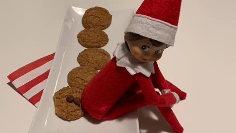 Christmas Elf Sitting on Cookies