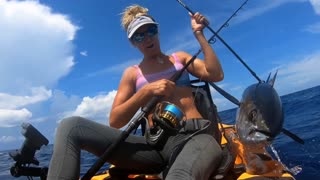 Kayaker Catches a Huge Tuna Off Coast of Florida While Being Followed by Hungry Sharks