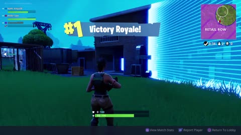 Fortnite victory