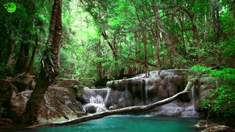 Jangle landscape with Erawan waterfall. Thailand