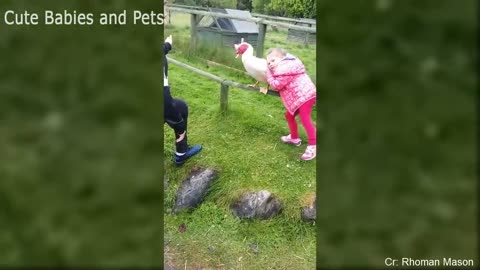 video of Baby and Bird Funny Fails 🐔🦆🦉 Funny Baby Video Cute Babies and Pets TV