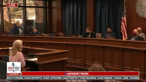 Witness #43 testifies at Michigan House Oversight Committee hearing on 2020 Election. Dec. 2, 2020.