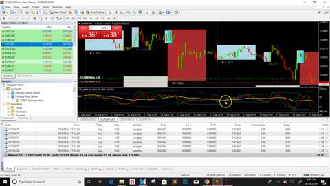 FOREX TRADING | FOREX TRADING FOR BEGINNERS | WIN 20 TRADES IN A ROW