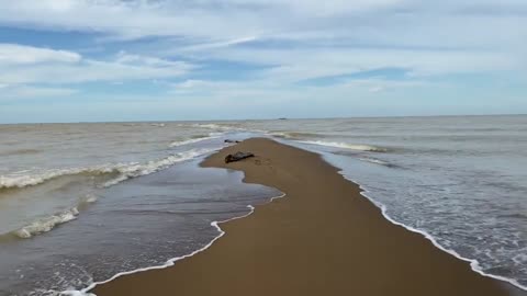 the sea splits until the bottom is visible