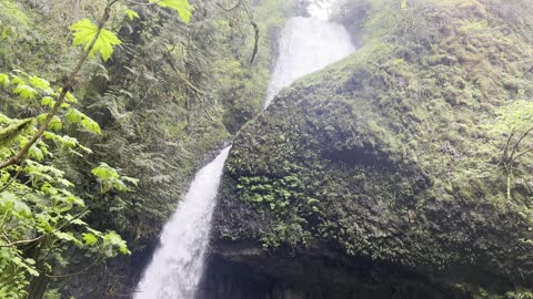 George W. Joseph Natural Area – Upper Latourell Falls – Columbia River Gorge – Oregon – 4K
