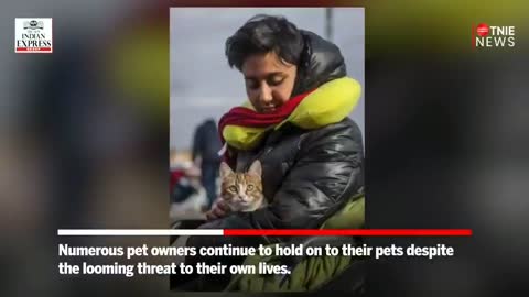 Russia-Ukraine War: Indians refuse to leave behind their pets amid conflict