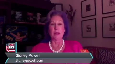 Sidney Powell discovered govt. patents to RIG & MANIPULATE ELECTIONS since 2006!