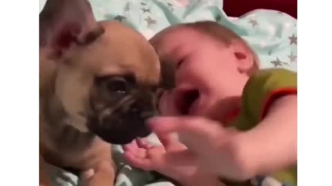 Dois bebes chorando 😂😂🤣