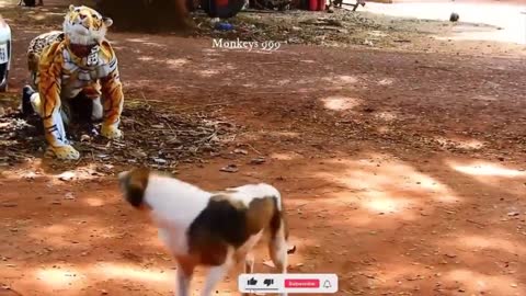 Try To Stop Laugh Challenge Fake Tiger Prank Dog No Run So Funny