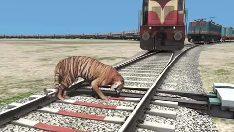 Lion & Tiger Vs Two Trains