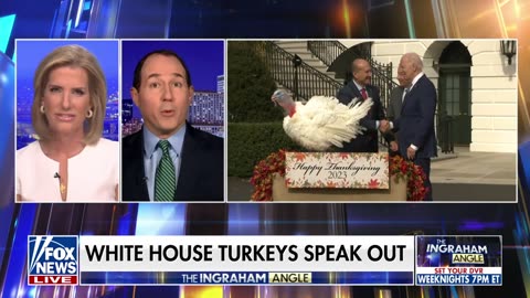 Biden gets cringey at turkey pardoning