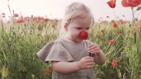 Cute little girl walking in The Flower Field