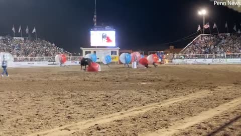 bull tramples woman during 'bubble ball' bull rodeo