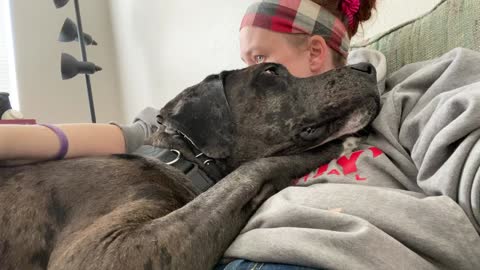 Service Dog: SNUGGLE Time AKA Is this What Bored Working Dogs Do During Quarantine?! 😉