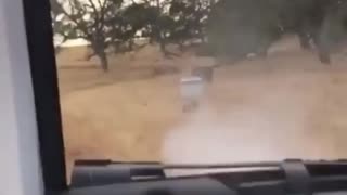 Bullet Ricochets Into Truck