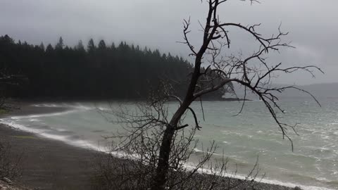 DABOB BAY IN THE HOOD CANAL, WASHINGTON