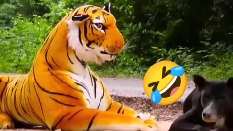 dog vs fake tiger