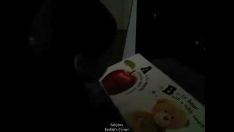 Baby memorizes his book at 20 months