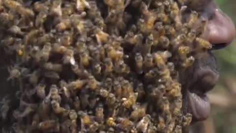 A man covered with thousands of bees