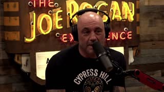 Joe Rogan Brings Fact, EMBARRASSES CNN Medical Correspondent Over Vaccines For Kids