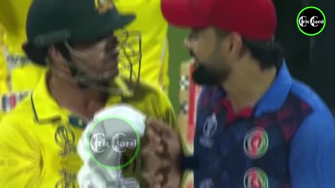 Rashid Khan and David Warner heated fight in middle of pitch during Afg vs Aus World Cup 2023