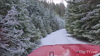 Eastern Washington Off Road: Christmas Tree Trip